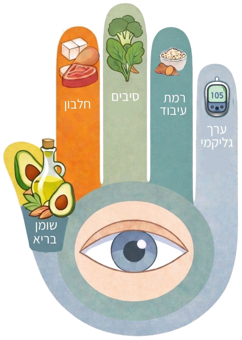 חמסה הורמונלית: חלבון, שומן בריא, סיבים, רמת עיבוד, ערך גליקמי